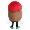 Pomme de terre costume de mascotte