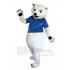 Ours costume de mascotte