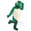 Tortue costume de mascotte