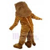 Lion costume de mascotte