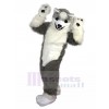 Loup costume de mascotte