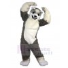 Loup costume de mascotte