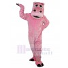 Hippopotame costume de mascotte