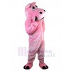 Hippopotame costume de mascotte