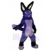 Lapin costume de mascotte