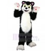 Chat costume de mascotte