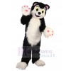 Chat costume de mascotte