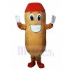 Arachide costume de mascotte