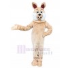 Lapin costume de mascotte