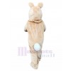 Lapin costume de mascotte