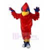 Cardinal costume de mascotte