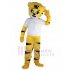 Tigre costume de mascotte