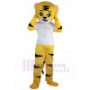 Tigre costume de mascotte
