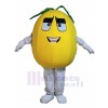 Poire costume de mascotte