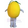 Poire costume de mascotte