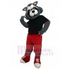 Loup costume de mascotte