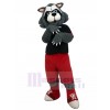 Loup costume de mascotte