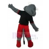 Loup costume de mascotte