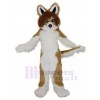 Chien costume de mascotte
