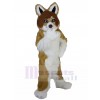 Chien costume de mascotte