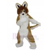 Chien costume de mascotte
