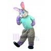 Lapin costume de mascotte