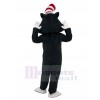 Chat costume de mascotte