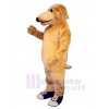 Chien costume de mascotte