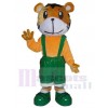 Tigre costume de mascotte