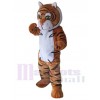 Tigre costume de mascotte