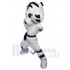 Tigre costume de mascotte