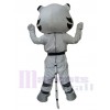 Tigre costume de mascotte