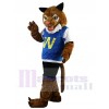 Tigre costume de mascotte