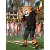 Tigre costume de mascotte