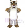 Tigre costume de mascotte