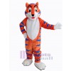 Tigre costume de mascotte