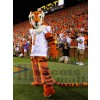 Tigre costume de mascotte