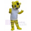 Tigre costume de mascotte
