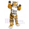 Tigre costume de mascotte