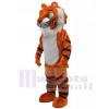 Tigre costume de mascotte
