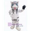 Tigre costume de mascotte