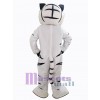 Tigre costume de mascotte