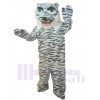 Tigre costume de mascotte