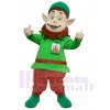 Lutin costume de mascotte