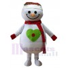 Bonhomme de neige costume de mascotte