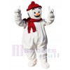 Bonhomme de neige costume de mascotte