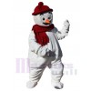 Bonhomme de neige costume de mascotte