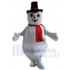 Bonhomme de neige costume de mascotte