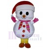 Bonhomme de neige costume de mascotte