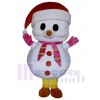 Bonhomme de neige costume de mascotte